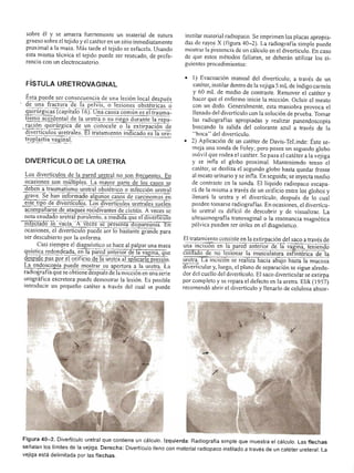 Urologia smith 11_ed