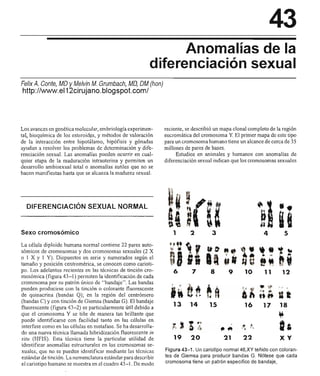 Urologia smith 11_ed