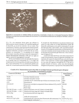 Urologia smith 11_ed