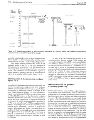Urologia smith 11_ed