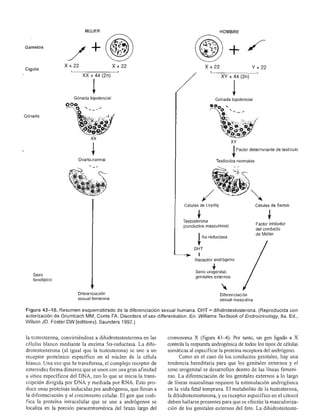 Urologia smith 11_ed