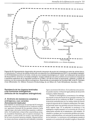 Urologia smith 11_ed