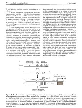 Urologia smith 11_ed