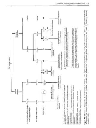 Urologia smith 11_ed