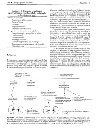 Urologia smith 11_ed