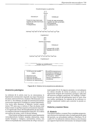 Urologia smith 11_ed