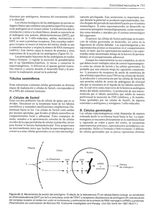 Urologia smith 11_ed