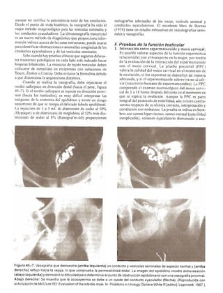 Urologia smith 11_ed