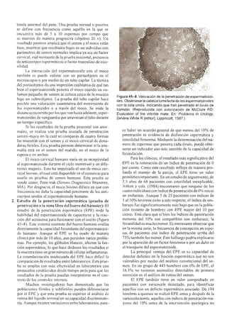 Urologia smith 11_ed