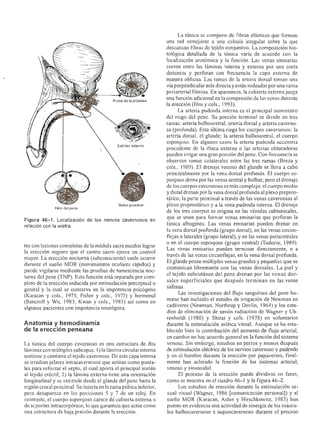 Urologia smith 11_ed
