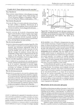 Urologia smith 11_ed