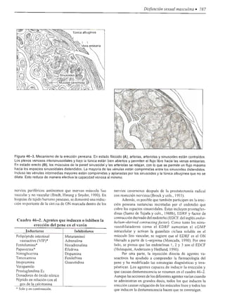 Urologia smith 11_ed