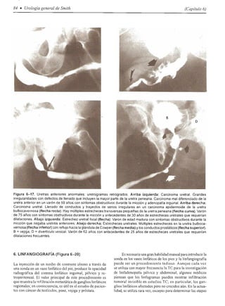 Urologia smith 11_ed