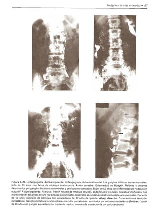 Urologia smith 11_ed