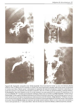 Urologia smith 11_ed