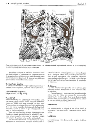 Urologia smith 11_ed