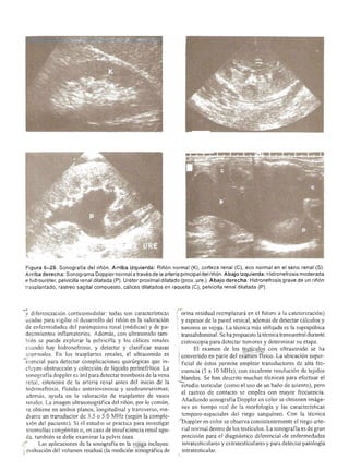 Urologia smith 11_ed
