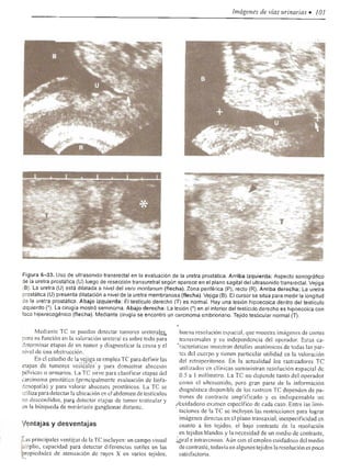 Urologia smith 11_ed