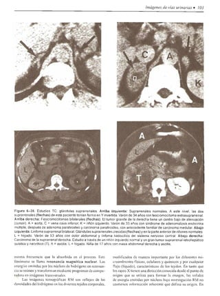 Urologia smith 11_ed