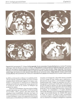 Urologia smith 11_ed