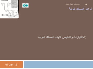 ‫البولية‬ ‫المسالك‬ ‫أمراض‬
‫البولية‬ ‫المسالك‬ ‫التهاب‬ ‫وتشخيص‬ ‫:التختبارات‬
07-Jan-12
‫سليمان‬ ‫جمال‬ ‫دكتور‬ ‫اعداد‬ 10
 