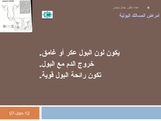 ‫البولية‬ ‫المسالك‬ ‫أمراض‬
‫غامق‬ ‫أو‬ ‫عكر‬ ‫البول‬ ‫لون‬ ‫يكون‬.
‫البول‬ ‫مع‬ ‫الدم‬ ‫خروج‬.
‫قوية‬ ‫البول‬ ‫رائحة‬ ‫تكون‬.
07-Jan-12
‫سليمان‬ ‫جمال‬ ‫دكتور‬ ‫اعداد‬ 6
 