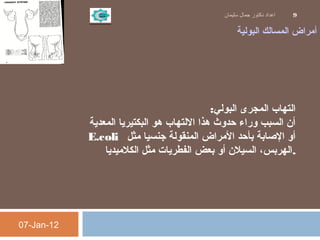 ‫البولية‬ ‫المسالك‬ ‫أمراض‬
‫البولي‬ ‫المجرى‬ ‫التهاب‬:
‫المعدية‬ ‫البكتيريا‬ ‫هو‬ ‫اللتهاب‬ ‫هذا‬ ‫حدوث‬ ‫وراء‬ ‫السبب‬ ‫أن‬
E.coli   ‫مثل‬ ‫جنسيا‬ ‫المنقولة‬ ‫المراض‬ ‫بأحد‬ ‫الاصابة‬ ‫أو‬
‫الكلميديا‬ ‫مثل‬ ‫الفطريات‬ ‫بعض‬ ‫أو‬ ‫السيلن‬ ،‫.الهربس‬
07-Jan-12
‫سليمان‬ ‫جمال‬ ‫دكتور‬ ‫اعداد‬ 9
 