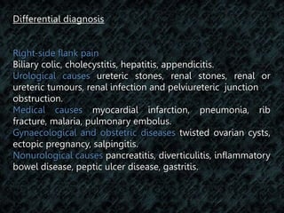 Differential Diagnosis of Flank Pain, PDF, Kidney