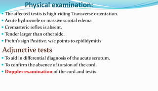 Physical examination:
 The affected testis is high-riding Transverse orientation.
 Acute hydrocoele or massive scrotal edema
 Cremasteric reflex is absent.
 Tender larger than other side.
 Prehn’s sign Positive. w/c points to epididymitis
Adjunctive tests
 To aid in differential diagnosis of the acute scrotum.
 To confirm the absence of torsion of the cord.
 Doppler examination of the cord and testis
 