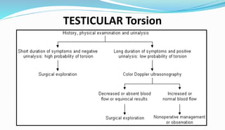 TESTICULAR Torsion
 