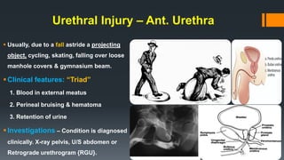 Trauma Urethrogram Urological Trauma & Upper Urinary Tract Infections | PDF