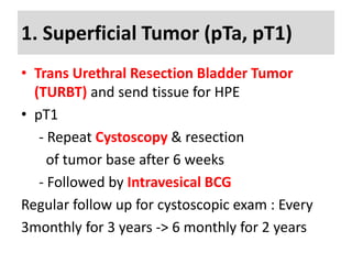 1. Superficial Tumor (pTa, pT1)
• Trans Urethral Resection Bladder Tumor
(TURBT) and send tissue for HPE
• pT1
- Repeat Cystoscopy & resection
of tumor base after 6 weeks
- Followed by Intravesical BCG
Regular follow up for cystoscopic exam : Every
3monthly for 3 years -> 6 monthly for 2 years
 