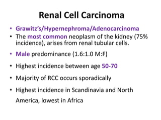 Renal Cell Carcinoma
• Grawitz’s/Hypernephroma/Adenocarcinoma
• The most common neoplasm of the kidney (75%
incidence), arises from renal tubular cells.
• Male predominance (1.6:1.0 M:F)
• Highest incidence between age 50-70
• Majority of RCC occurs sporadically
• Highest incidence in Scandinavia and North
America, lowest in Africa
 