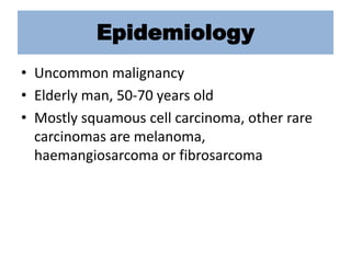 Epidemiology
• Uncommon malignancy
• Elderly man, 50-70 years old
• Mostly squamous cell carcinoma, other rare
carcinomas are melanoma,
haemangiosarcoma or fibrosarcoma
 