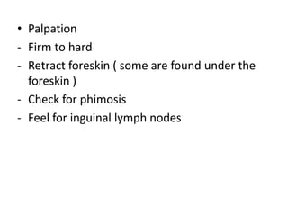 • Palpation
- Firm to hard
- Retract foreskin ( some are found under the
foreskin )
- Check for phimosis
- Feel for inguinal lymph nodes
 