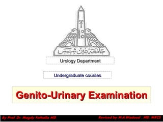 Genito-Urinary Examination Urology Department Undergraduate courses 