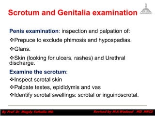 Scrotum and Genitalia examination Penis examination :  inspection and palpation of: Prepuce to exclude phimosis and hypospadias. Glans. Skin (looking for ulcers, rashes) and Urethral discharge. Examine the scrotum : Inspect scrotal skin  Palpate testes, epididymis and vas  Identify scrotal swellings: scrotal or inguinoscrotal. Magdy Fath-Alla, 2009 