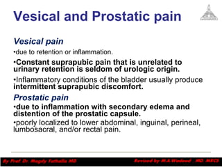Vesical and Prostatic pain   Vesical pain due to retention or inflammation.  Constant suprapubic pain that is unrelated to urinary retention is seldom of urologic origin.   Inflammatory conditions of the bladder usually produce  intermittent suprapubic discomfort.   Prostatic pain  due to inflammation with secondary edema and distention of the prostatic capsule.   poorly localized to lower abdominal, inguinal, perineal, lumbosacral, and/or rectal pain.  Magdy Fath-Alla, 2009 