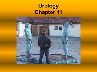 Urology Chapter 11 