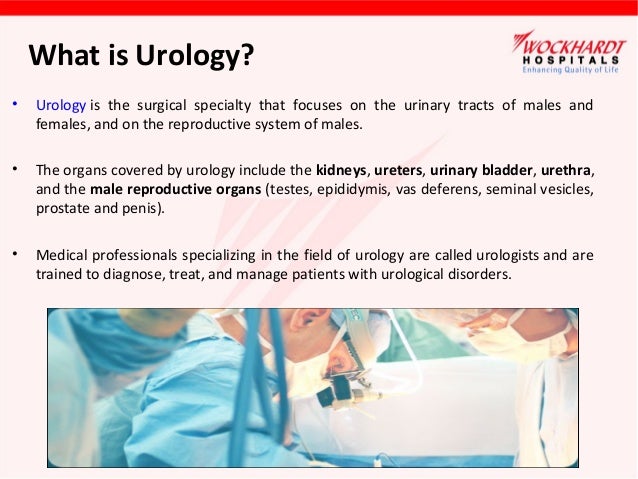 Urology urology