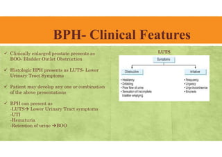 Luts Boo Urology- Hematuria, Renal/Ureteric colic and Bladder Outlet Obstruction ...