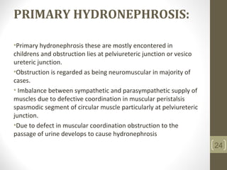 PRIMARY HYDRONEPHROSIS:
•Primary hydronephrosis these are mostly encontered in
childrens and obstruction lies at pelviureteric junction or vesico
ureteric junction.
•Obstruction is regarded as being neuromuscular in majority of
cases.
• Imbalance between sympathetic and parasympathetic supply of
muscles due to defective coordination in muscular peristalsis
spasmodic segment of circular muscle particularly at pelviureteric
junction.
•Due to defect in muscular coordination obstruction to the
passage of urine develops to cause hydronephrosis
24
 