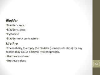 Bladder
•Bladder cancer
•Bladder stones
•Cystocele
•Bladder neck contracture
Urethra
•The inability to empty the bladder (urinary retention) for any
reason may cause bilateral hydronephrosis.
•Urethral stricture
•Urethral valves
34
 