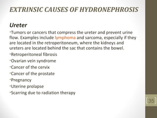EXTRINSIC CAUSES OF HYDRONEPHROSIS
Ureter
•Tumors or cancers that compress the ureter and prevent urine
flow. Examples include lymphoma and sarcoma, especially if they
are located in the retroperitoneum, where the kidneys and
ureters are located behind the sac that contains the bowel.
•Retroperitoneal fibrosis
•Ovarian vein syndrome
•Cancer of the cervix
•Cancer of the prostate
•Pregnancy
•Uterine prolapse
•Scarring due to radiation therapy
35
 