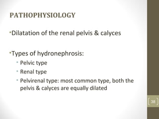 PATHOPHYSIOLOGY
•Dilatation of the renal pelvis & calyces
•Types of hydronephrosis:
• Pelvic type
• Renal type
• Pelvirenal type: most common type, both the
pelvis & calyces are equally dilated
38
 