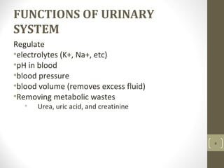 FUNCTIONS OF URINARY
SYSTEM
Regulate
•electrolytes (K+, Na+, etc)
•pH in blood
•blood pressure
•blood volume (removes excess fluid)
•Removing metabolic wastes
• Urea, uric acid, and creatinine
4
 