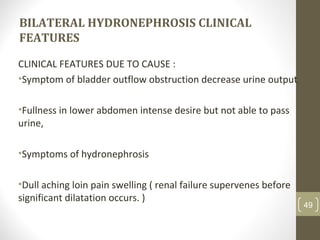 BILATERAL HYDRONEPHROSIS CLINICAL
FEATURES
CLINICAL FEATURES DUE TO CAUSE :
•Symptom of bladder outflow obstruction decrease urine output
•Fullness in lower abdomen intense desire but not able to pass
urine,
•Symptoms of hydronephrosis
•Dull aching loin pain swelling ( renal failure supervenes before
significant dilatation occurs. )
49
 