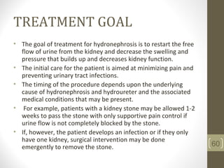 TREATMENT GOAL
• The goal of treatment for hydronephrosis is to restart the free
flow of urine from the kidney and decrease the swelling and
pressure that builds up and decreases kidney function.
• The initial care for the patient is aimed at minimizing pain and
preventing urinary tract infections.
• The timing of the procedure depends upon the underlying
cause of hydronephrosis and hydroureter and the associated
medical conditions that may be present.
• For example, patients with a kidney stone may be allowed 1-2
weeks to pass the stone with only supportive pain control if
urine flow is not completely blocked by the stone.
• If, however, the patient develops an infection or if they only
have one kidney, surgical intervention may be done
emergently to remove the stone. 60
 