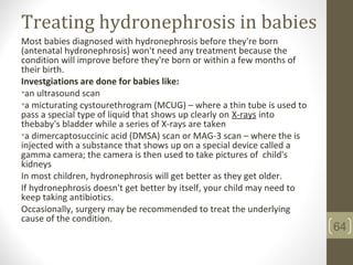 Treating hydronephrosis in babies
Most babies diagnosed with hydronephrosis before they're born
(antenatal hydronephrosis) won't need any treatment because the
condition will improve before they're born or within a few months of
their birth.
Investgiations are done for babies like:
•an ultrasound scan
•a micturating cystourethrogram (MCUG) – where a thin tube is used to
pass a special type of liquid that shows up clearly on X-rays into
thebaby's bladder while a series of X-rays are taken
•a dimercaptosuccinic acid (DMSA) scan or MAG-3 scan – where the is
injected with a substance that shows up on a special device called a
gamma camera; the camera is then used to take pictures of child's
kidneys
In most children, hydronephrosis will get better as they get older.
If hydronephrosis doesn't get better by itself, your child may need to
keep taking antibiotics.
Occasionally, surgery may be recommended to treat the underlying
cause of the condition.
64
 