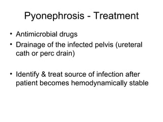 Urology infection [Dr. Edmond Wong] | PPT